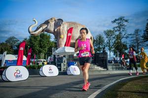 BIB: 
                            <button type="button" onclick="openModal(26541728)" class="btn btn-primary btn-sm float-right btn-popup" data-toggle="modal" data-target=".modal-high-quality">
                        <i class="fas fa-shopping-cart"></i> Add to Cart
                    </button>
                                            <button type="button" onclick="isThisMe(26541728, true)" class="btn btn-success btn-sm float-right btn-popup btn-isme hidden" data-toggle="tooltip" data-placement="bottom" title="นี่คือรูปของคุณใช่ไหม คลิกที่นี่เพื่อเอาเข้าอัลบั้ม">
                        <i class="fas fa-plus"></i> Add to album
                    </button>
                    <button type="button" onclick="isThisMe(26541728, false)" class="btn btn-warning btn-sm float-right btn-popup btn-isnotme hidden">
                        <i class="fas fa-ban"></i> Remove from album
                    </button>